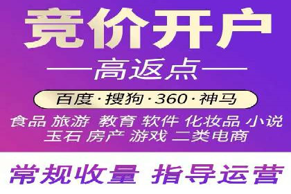 案例解析：网络推广竞价策略